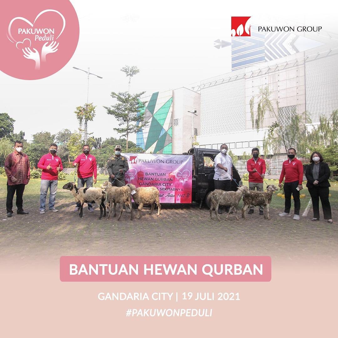 221539758-797431904278834-3977722293551132366-n