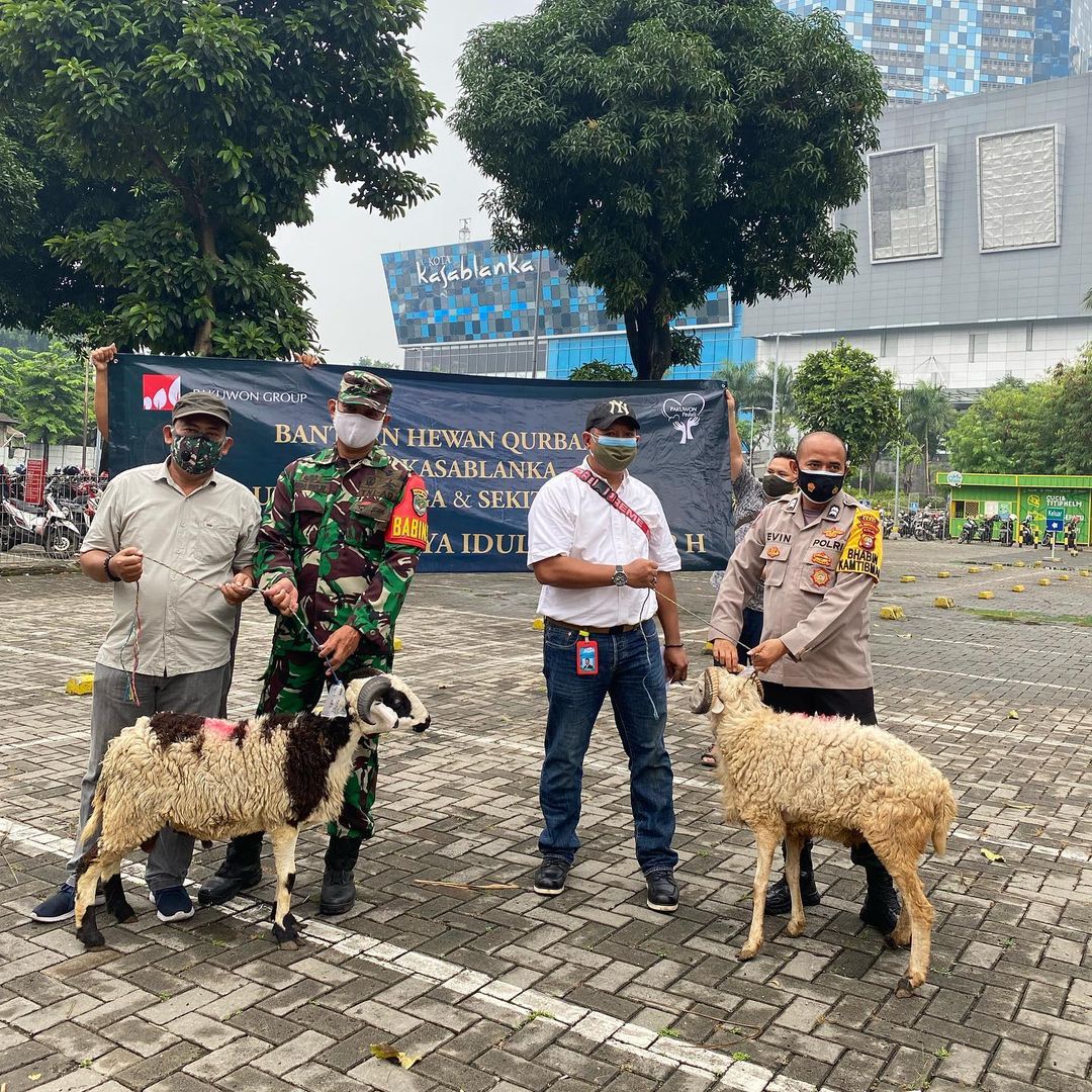 \App\Helpers\getUpload($galleryId)->alt