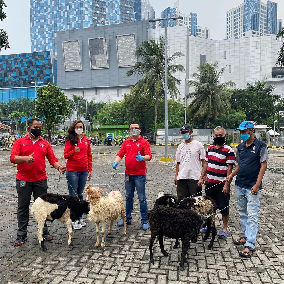 \App\Helpers\getUpload($galleryId)->alt