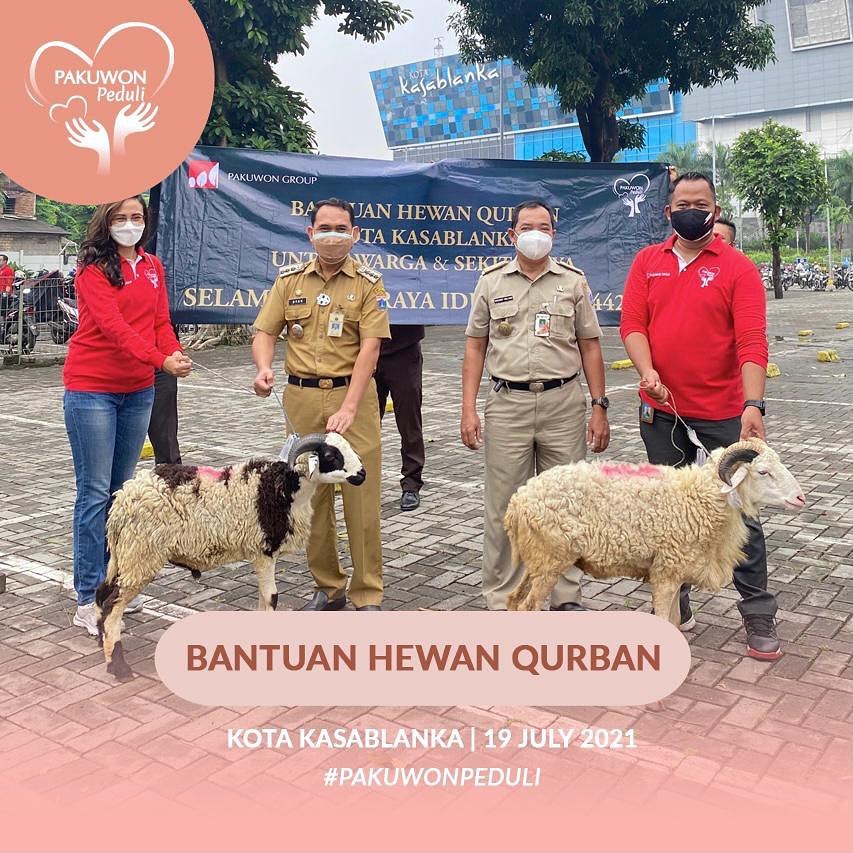 219519736-172048844915621-6633097203154387433-n