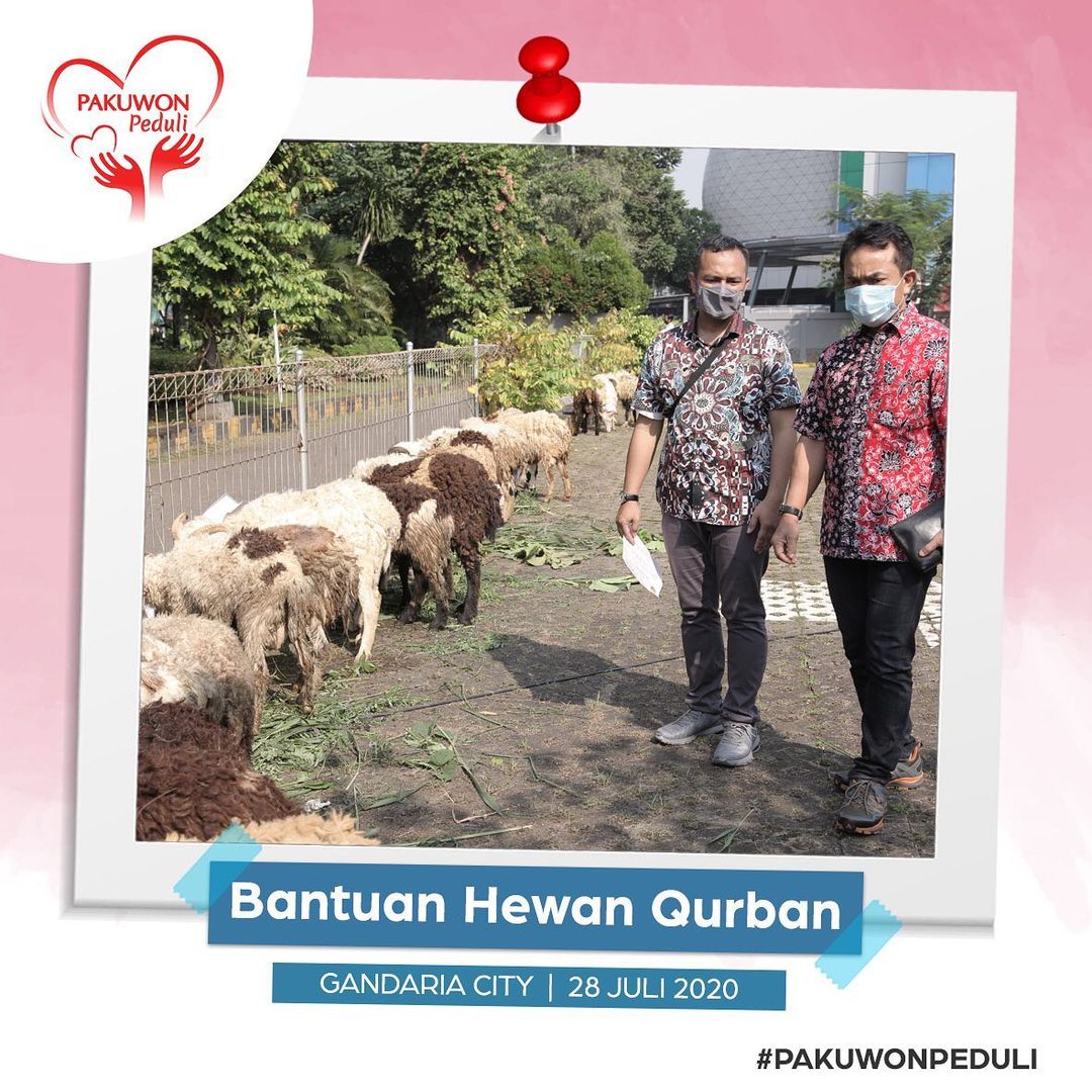 116560520-190173125861492-8419558980059977632-n