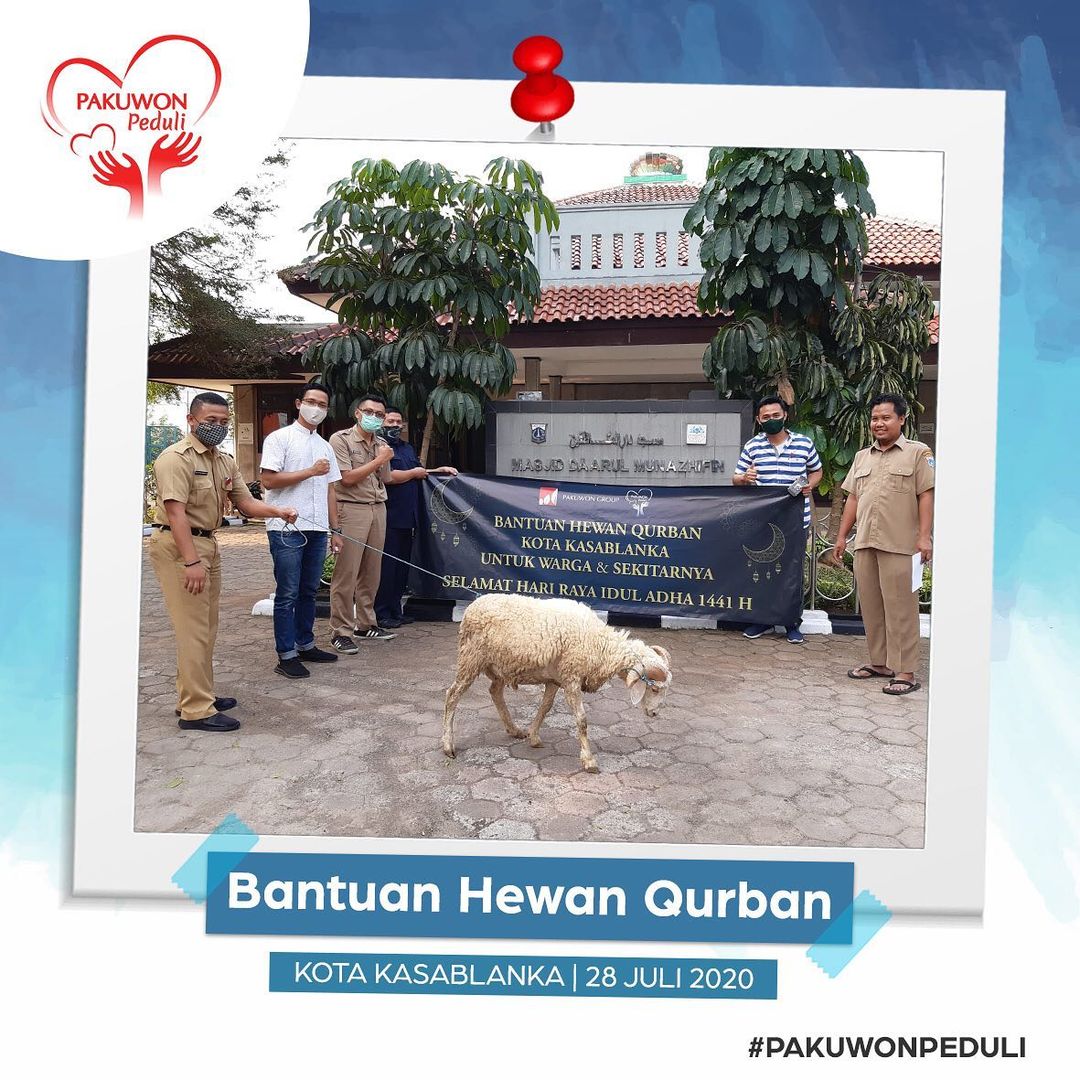 116061877-648596489082531-6196248803608100126-n