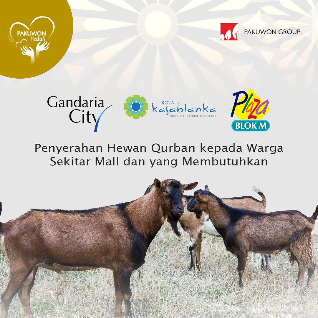 kota-kasablanka-gandaria-city-dan-plaza-blok-mmembagikan-hewan-qurban